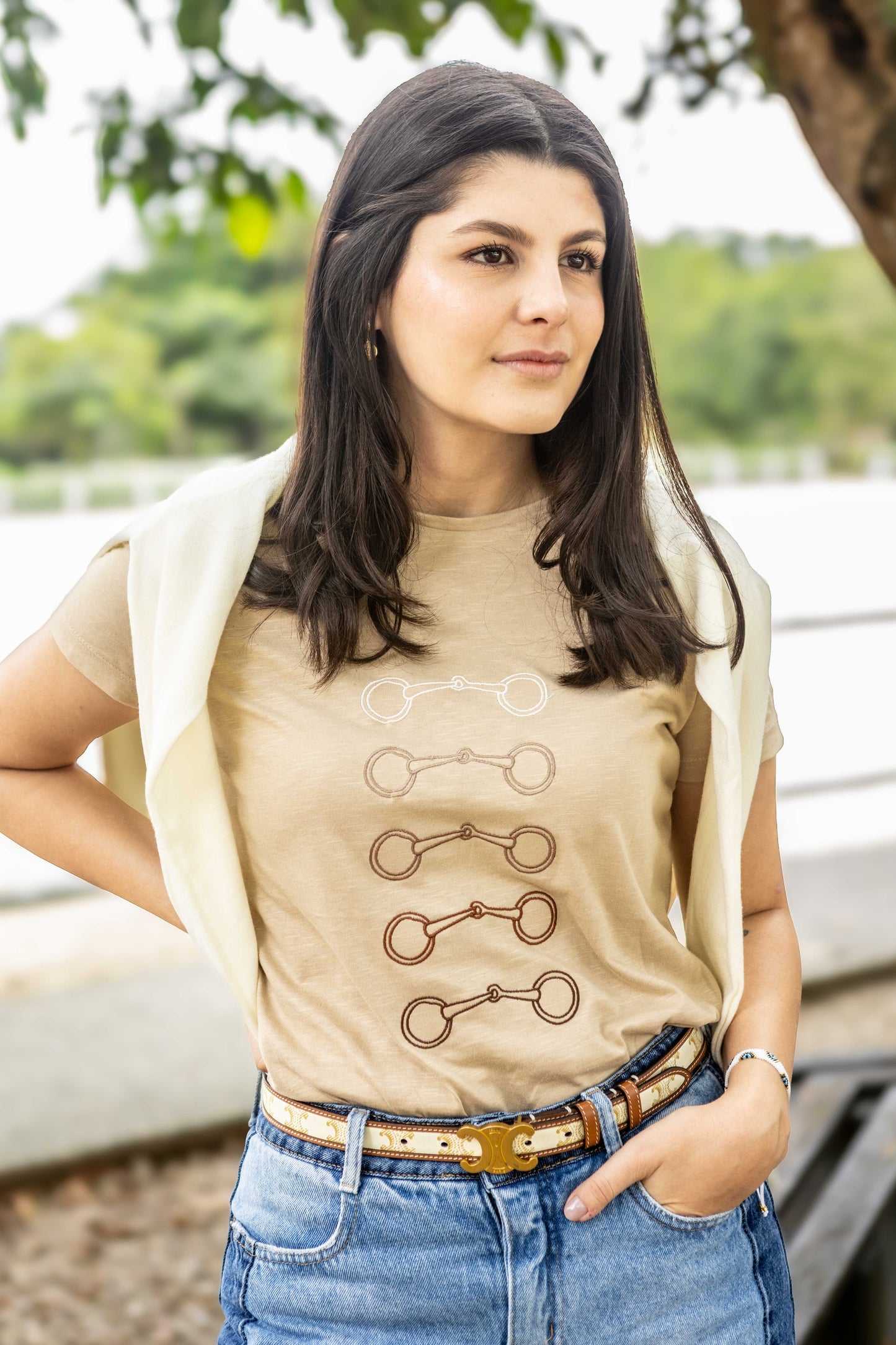 Camiseta Bridão Degradê