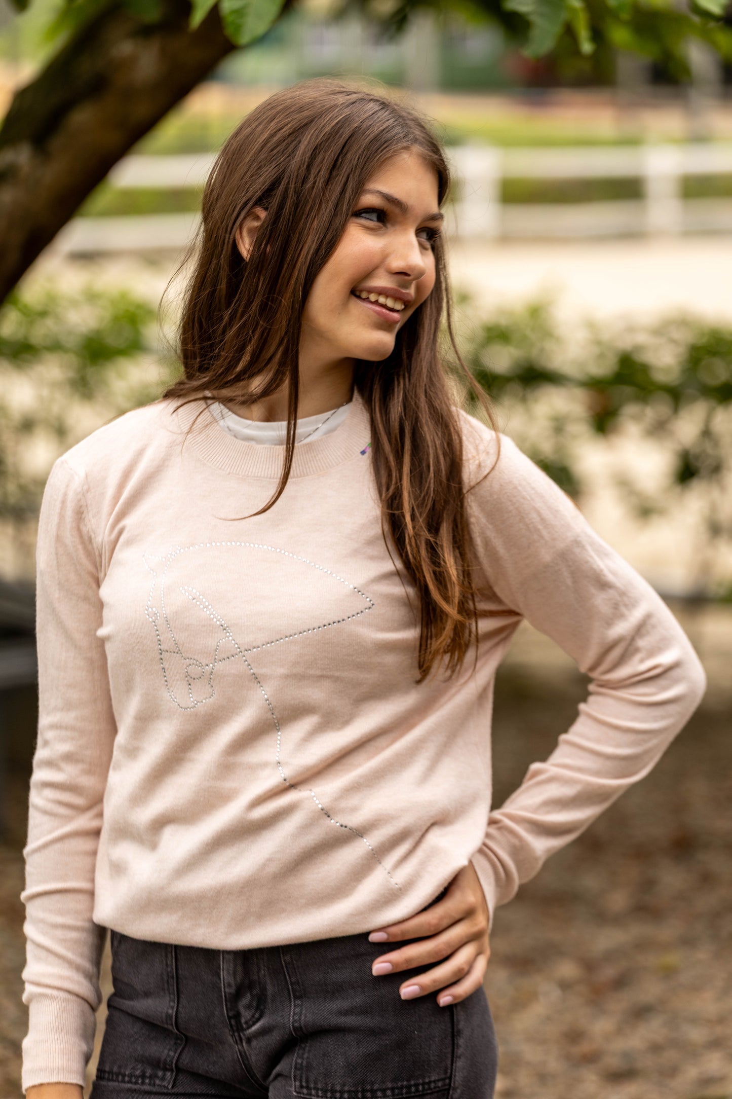 Pullover Careca - Cavalo contorno