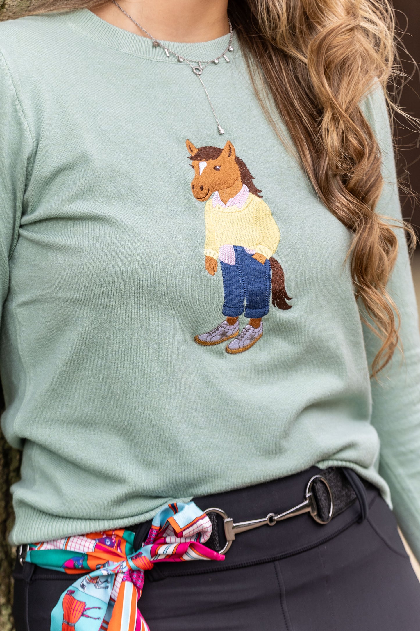 Suéter Polo Horse Daily by Dani Miro - Verde Claro