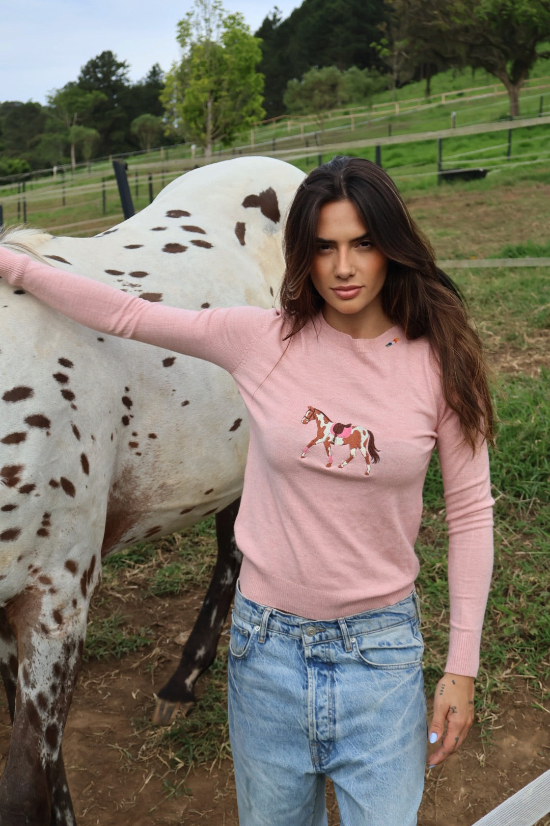 Pullover Careca - Cavalo malhado