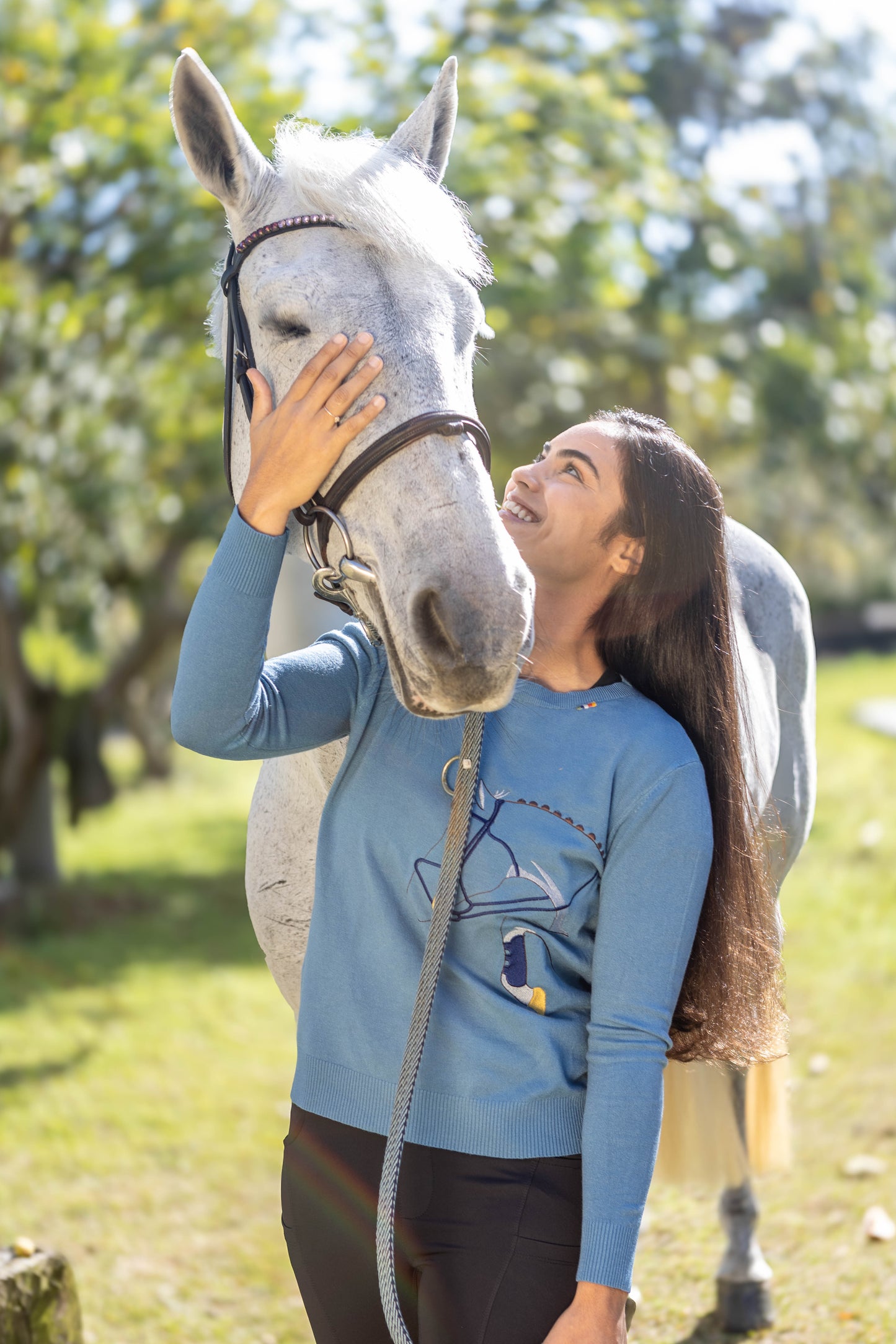 Pullover Careca Cavalo Rédeas - Azul