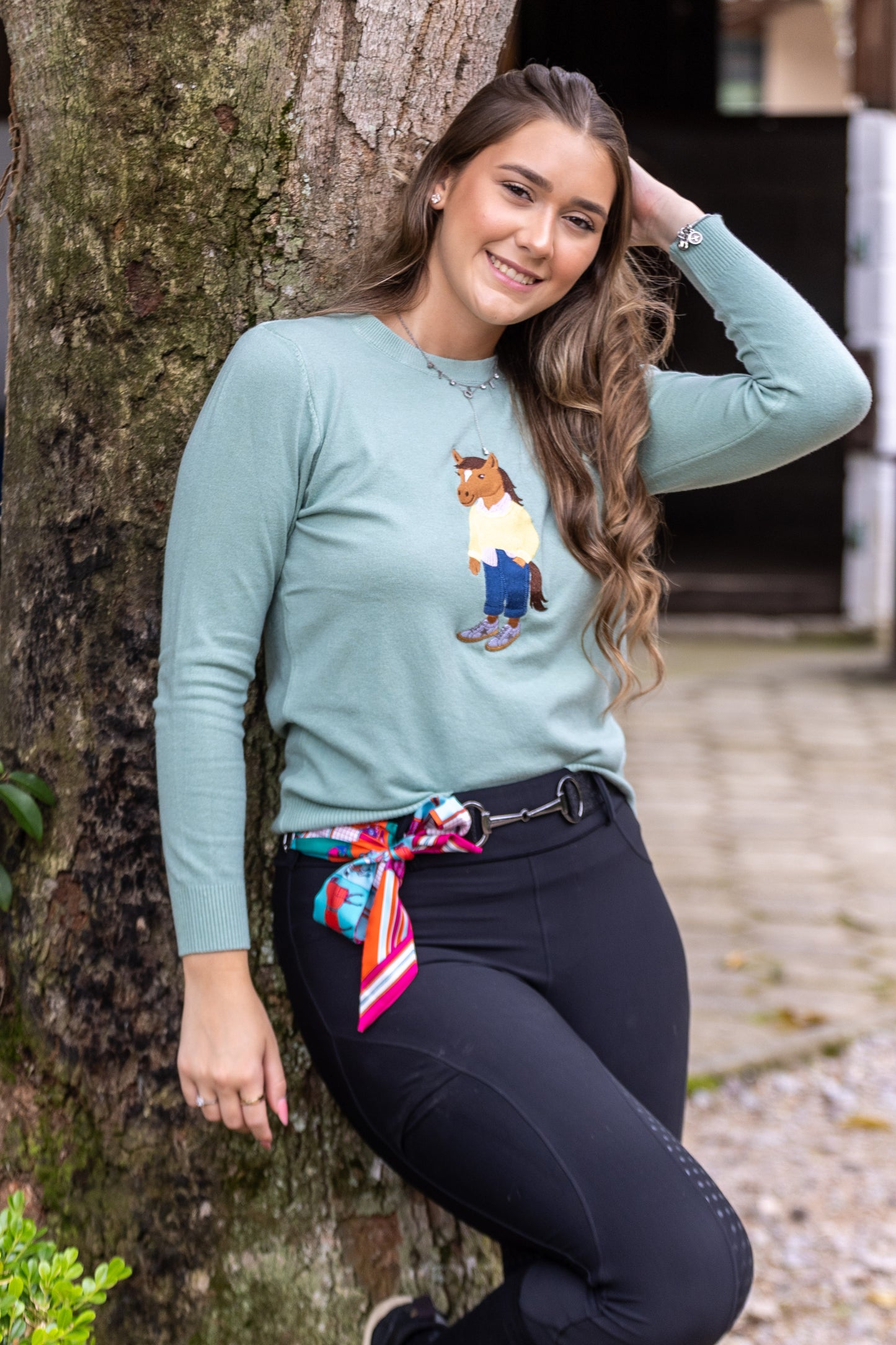 Suéter Polo Horse Daily by Dani Miro - Verde Claro