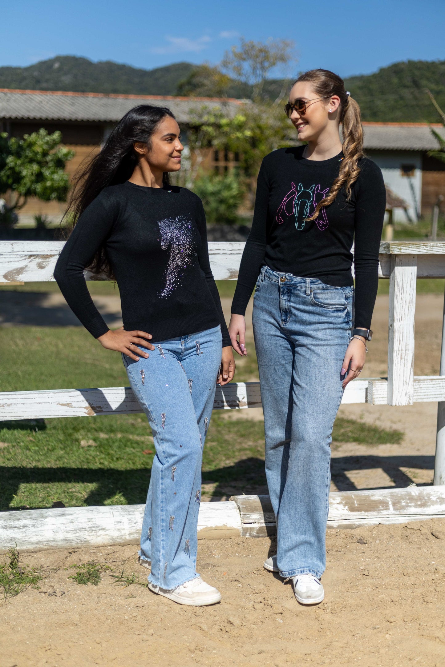 Pullover Careca Strass Cavalo Esvoaçante - Preto