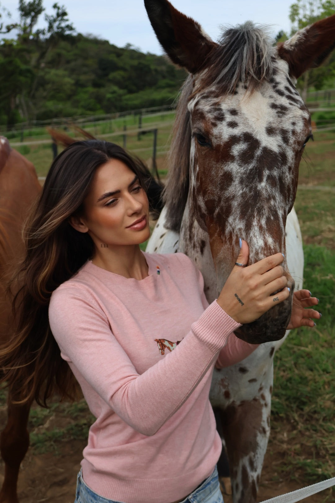 Pullover Careca - Cavalo malhado