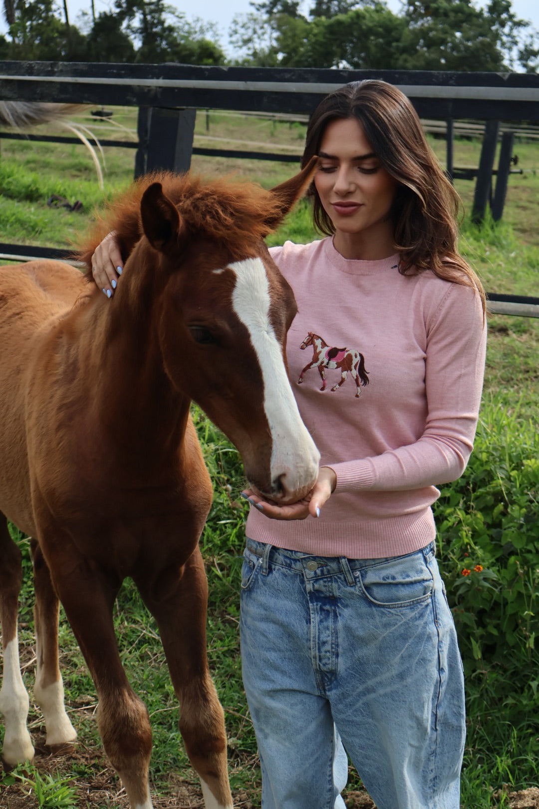 Pullover Careca - Cavalo malhado