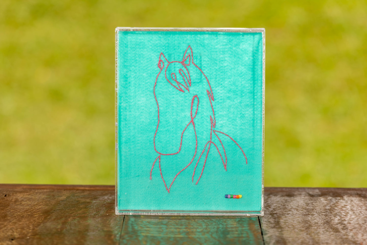 Quadro Cavalo