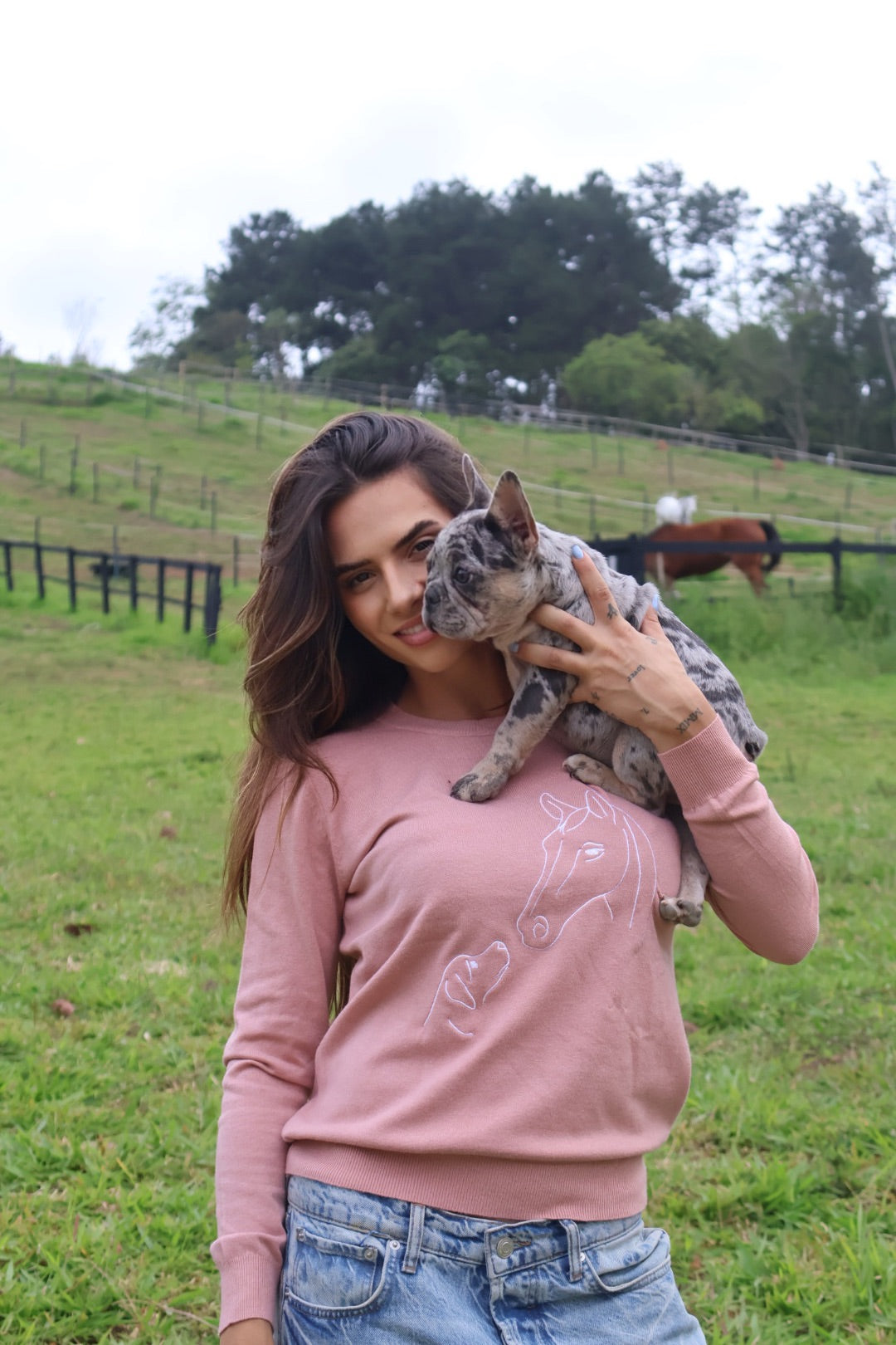 Pullover Careca Cavalo com Cachorro - Rosa