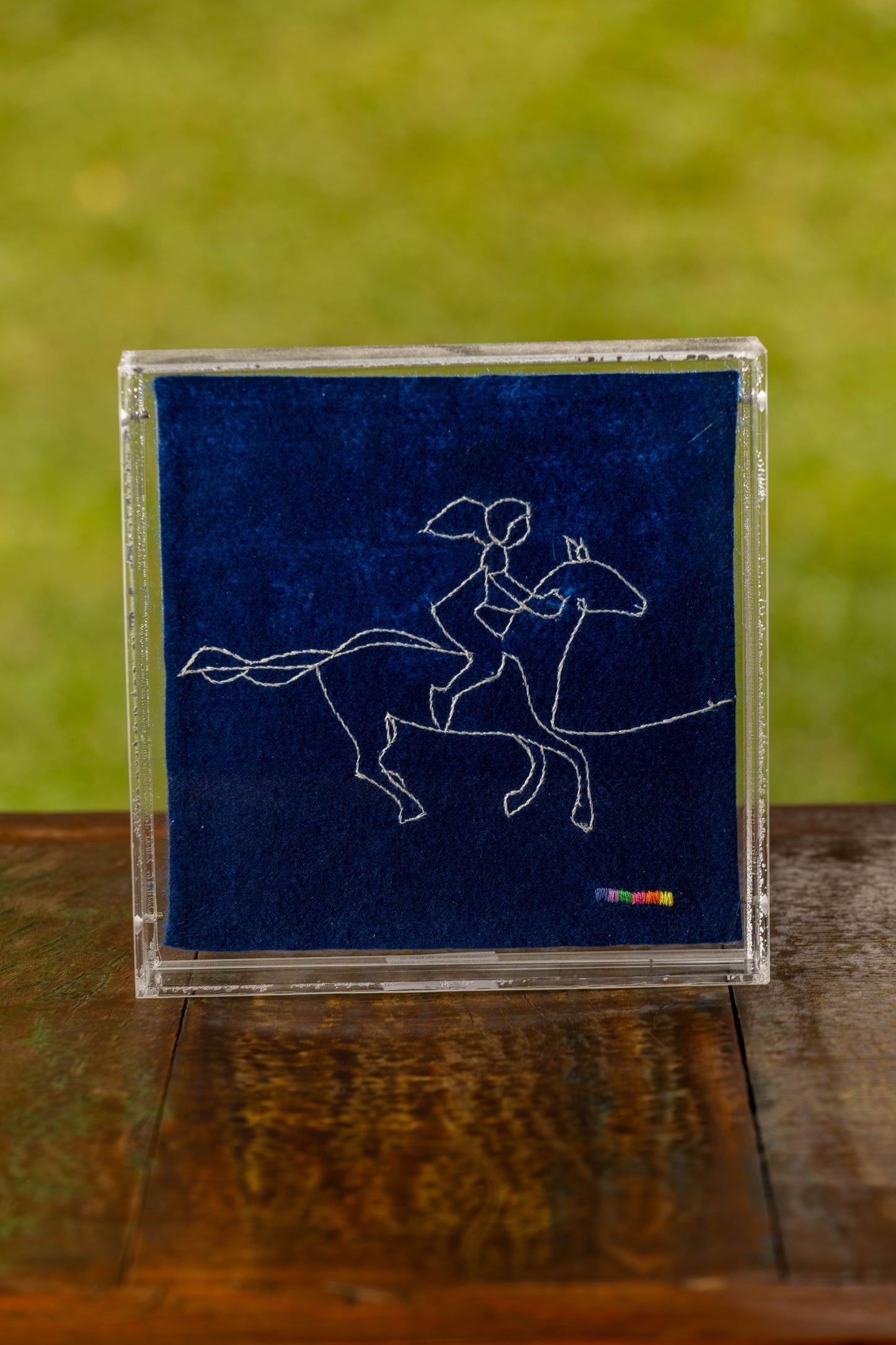 Quadro Amazonas Cavalgando