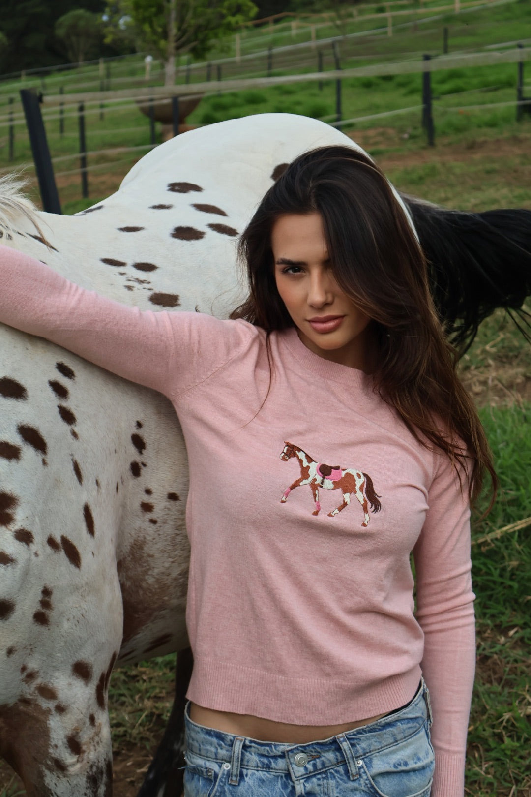 Pullover Careca - Cavalo malhado