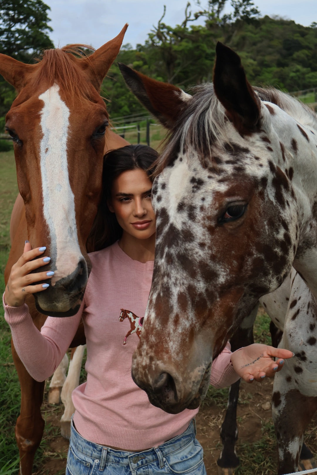 Pullover Careca - Cavalo malhado