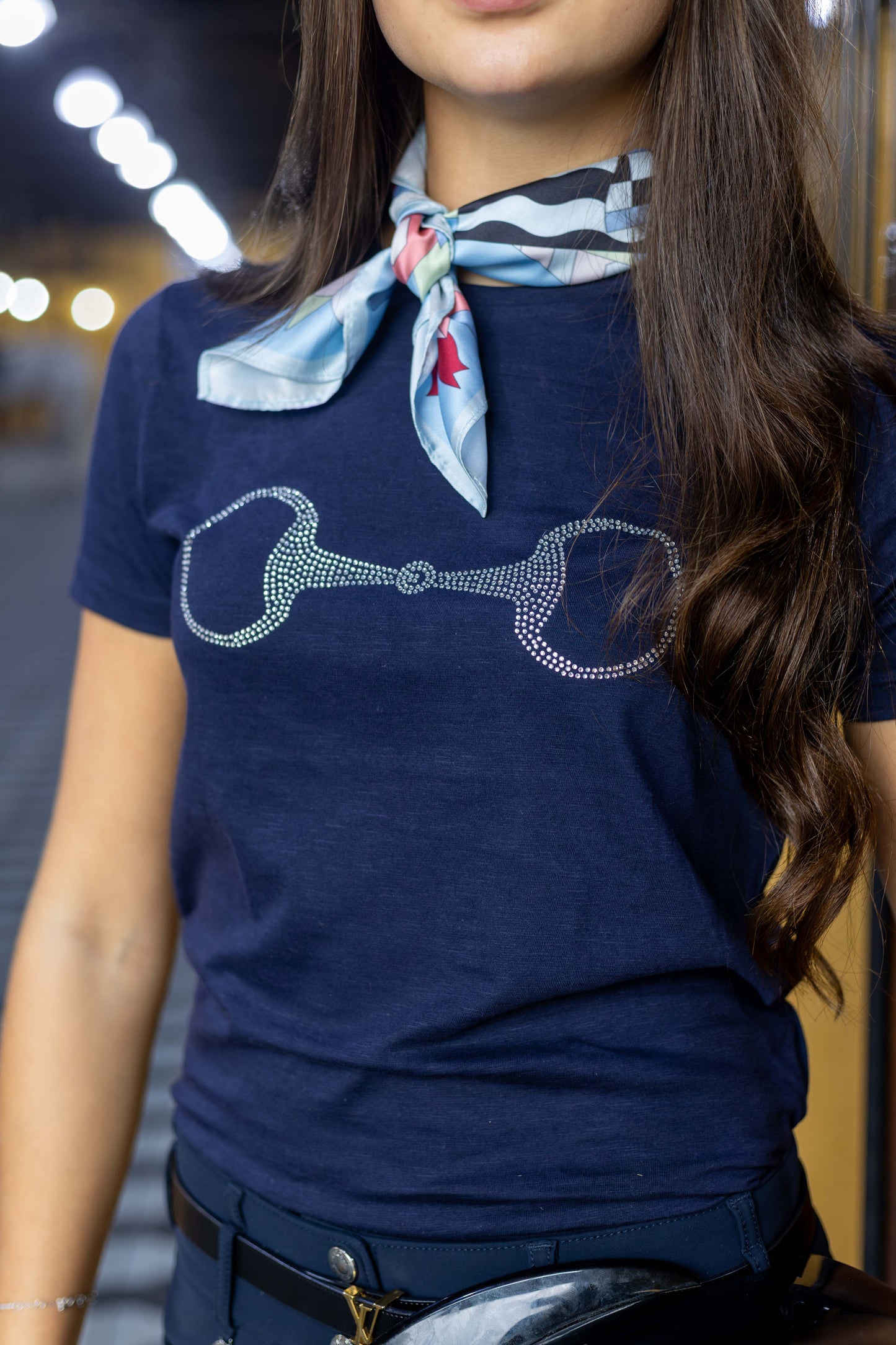 Camiseta Bridão