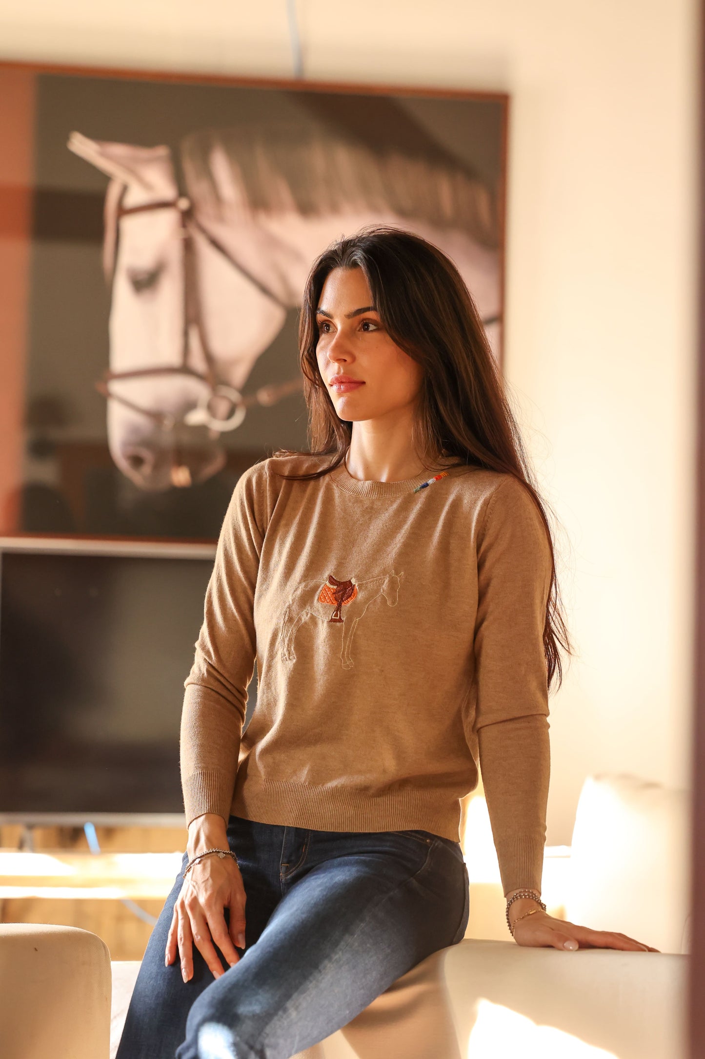 Pullover careca cavalo com sela