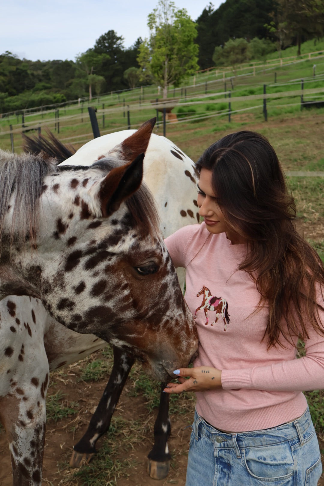 Pullover Careca - Cavalo malhado