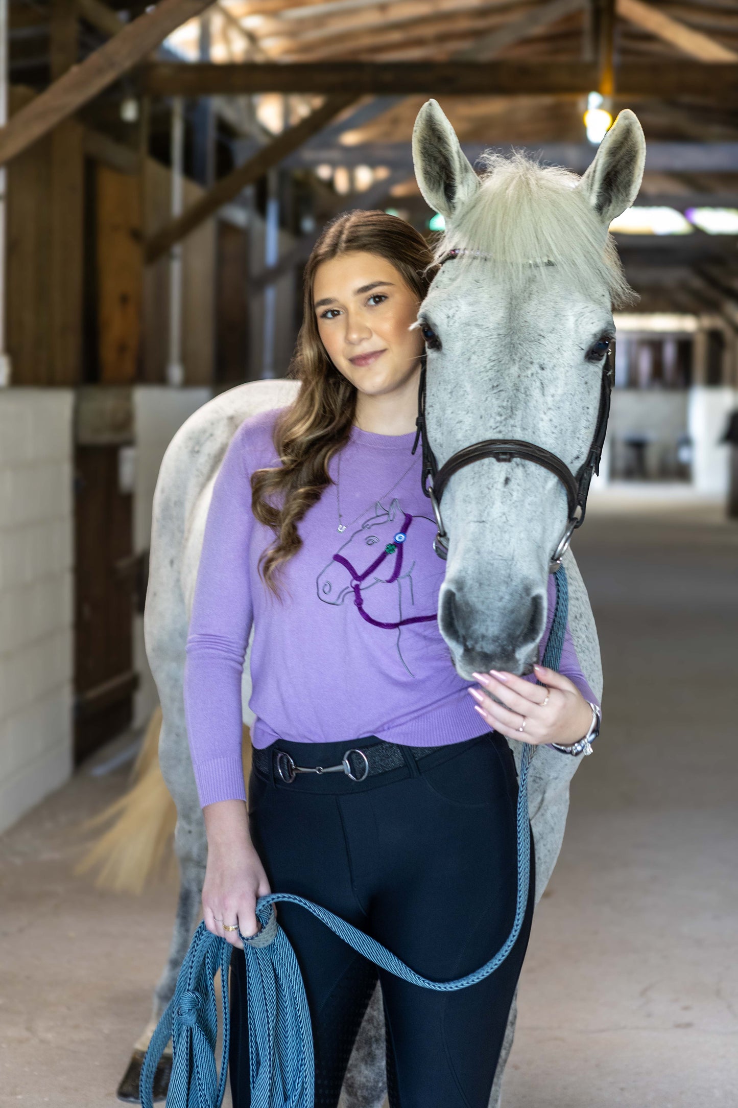 Pullover Careca Cavalo Perfil - Lilás