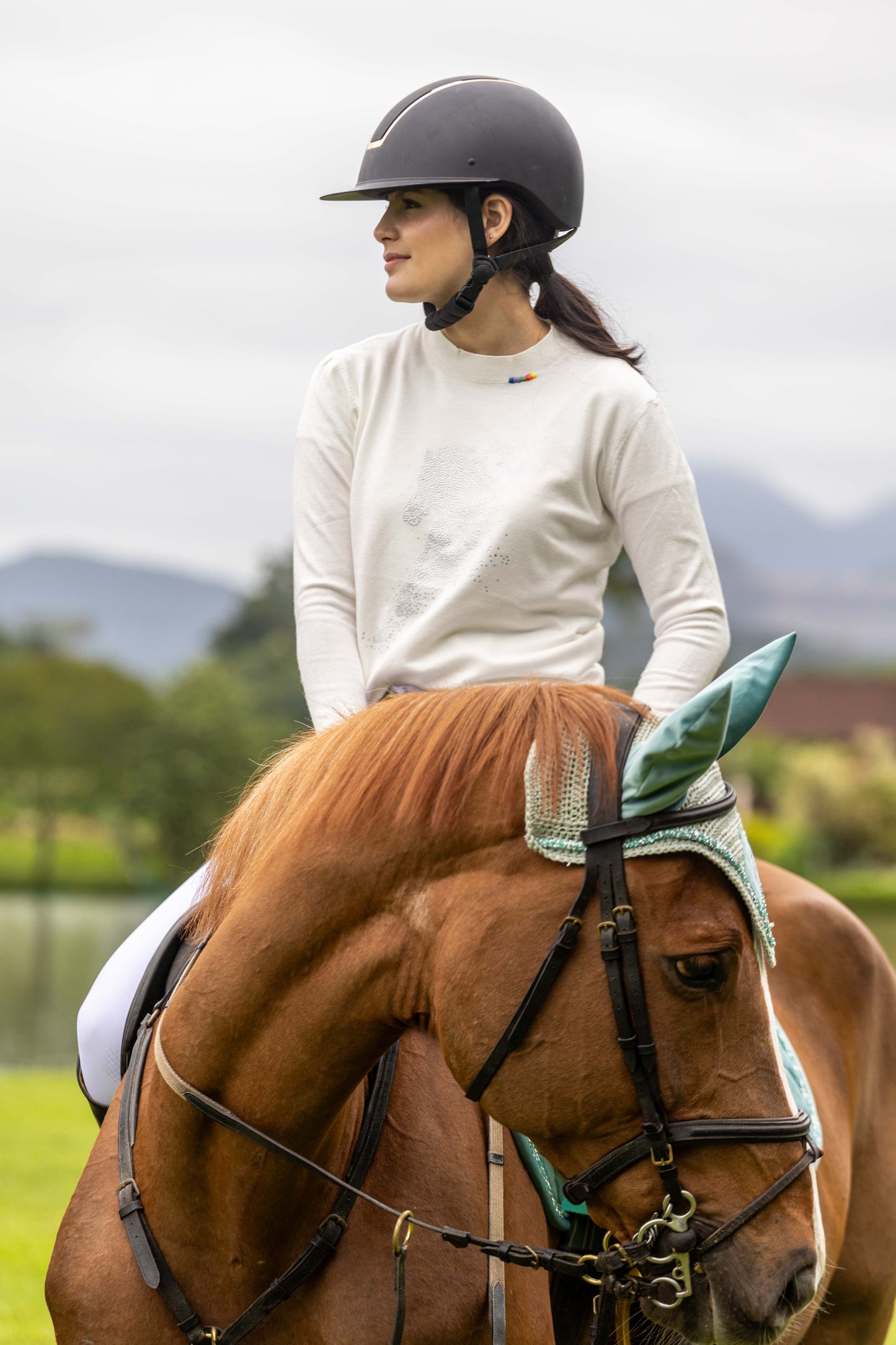 Pullover Careca - Cavalo esvoaçante