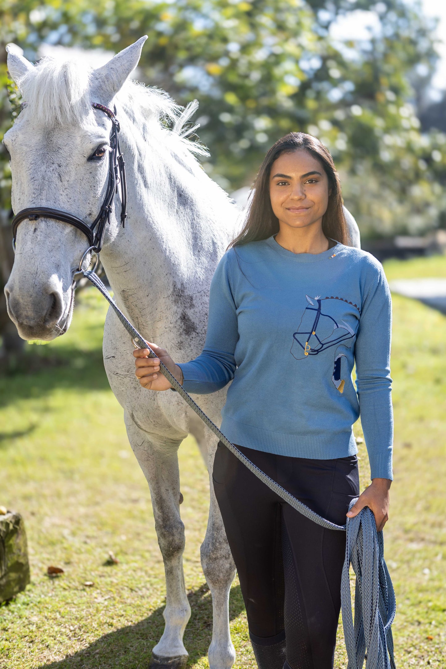 Pullover Careca Cavalo Rédeas - Azul