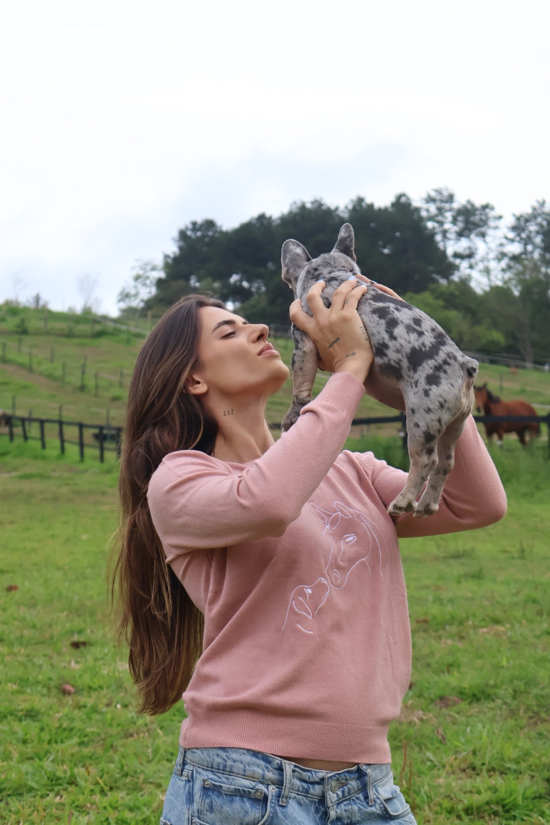Pullover Careca Cavalo com Cachorro - Rosa