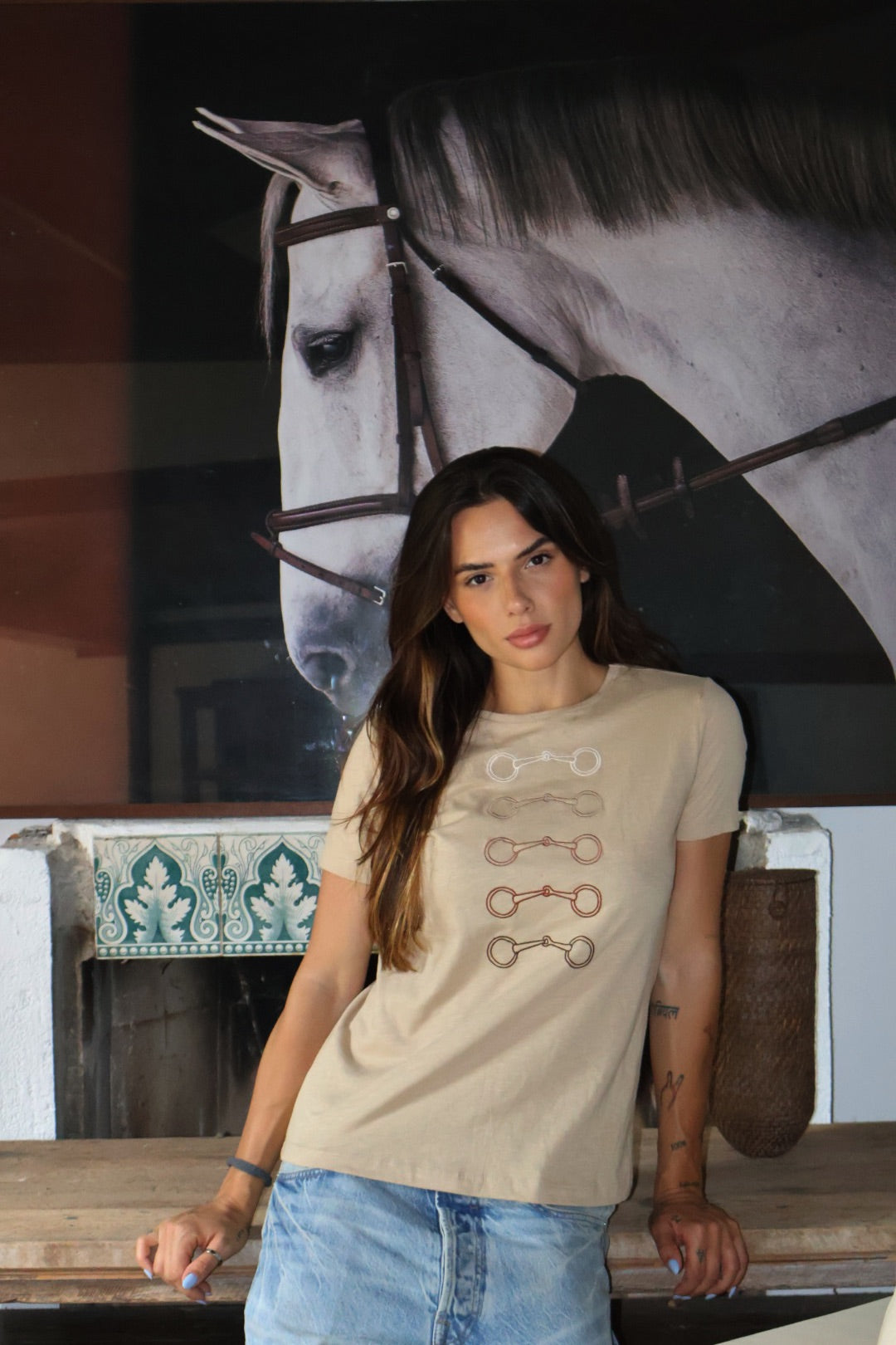 Camiseta Bridão Degradê