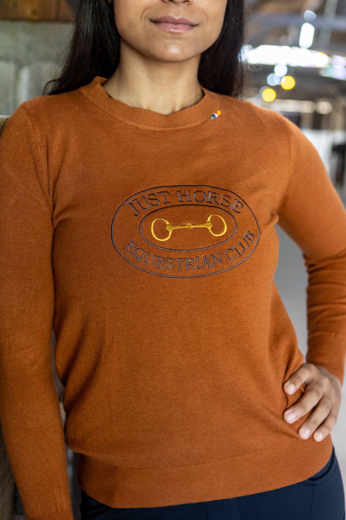 Pullover Careca Emblema Bridão - Ferrugem