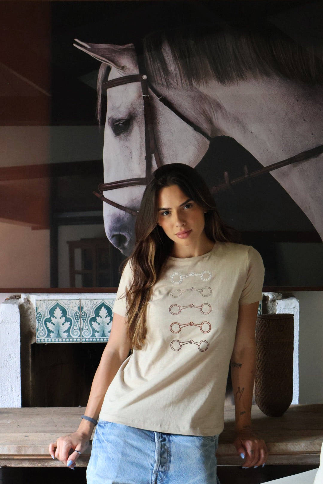 Camiseta Bridão Degradê