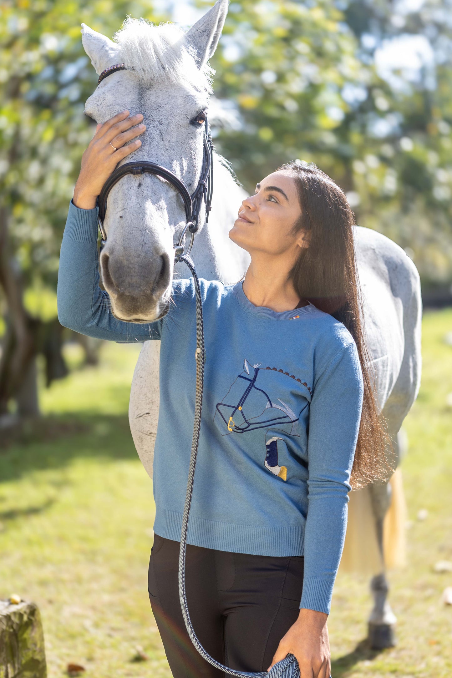 Pullover Careca Cavalo Rédeas - Azul