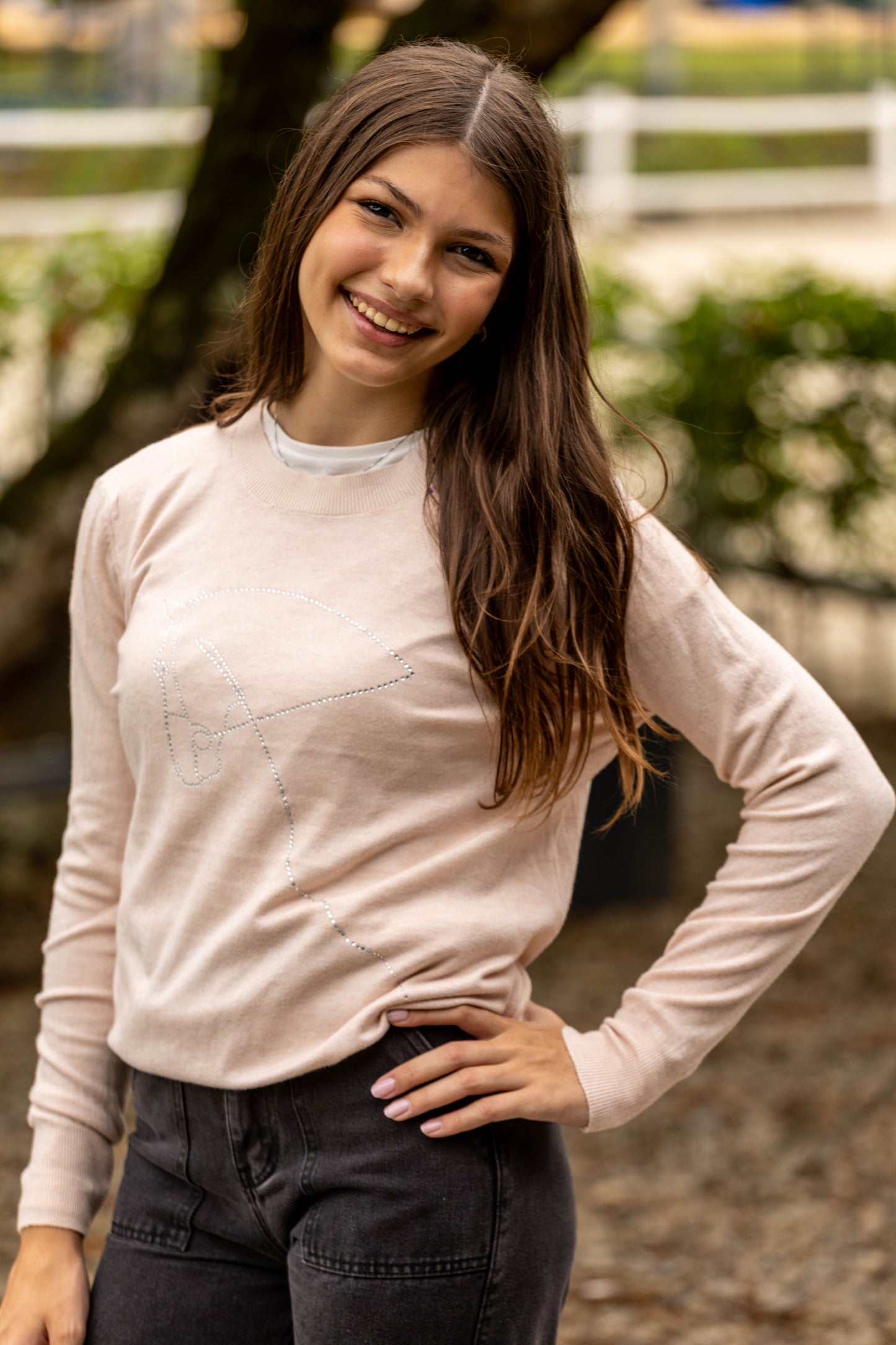 Pullover Careca - Cavalo contorno