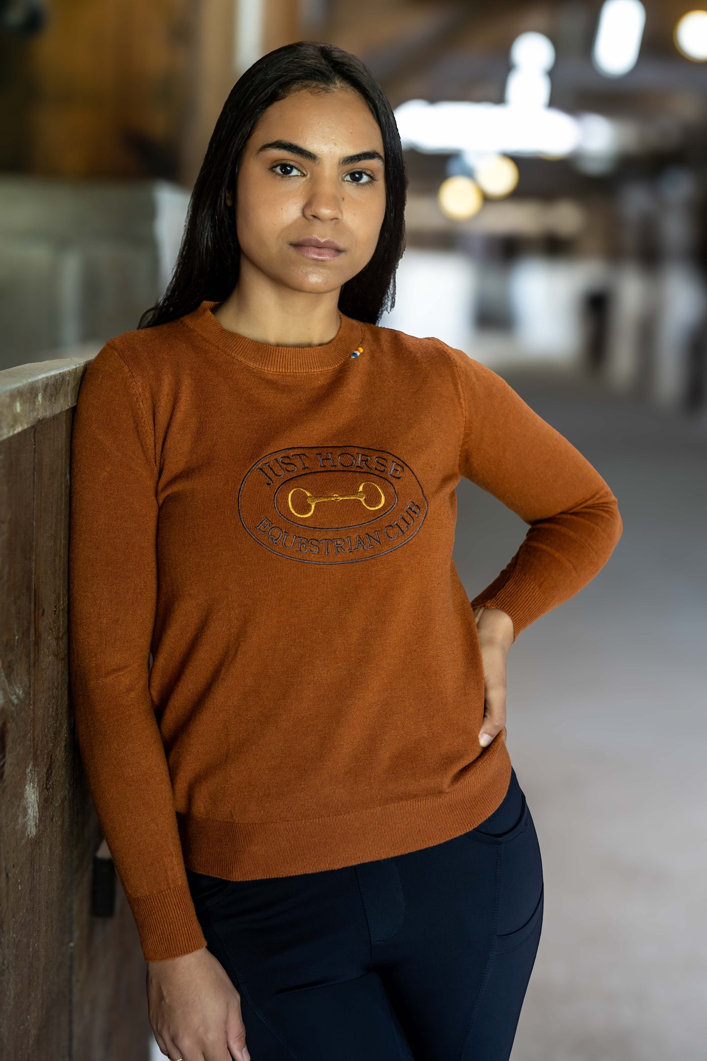 Pullover Careca Emblema Bridão - Ferrugem