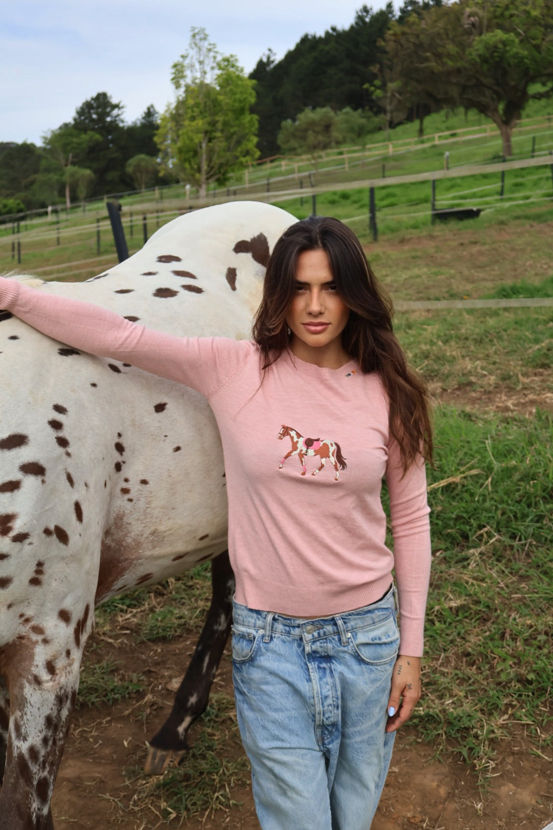 Pullover Careca - Cavalo malhado