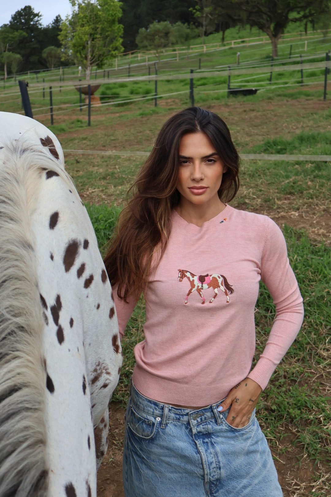 Pullover Careca - Cavalo malhado