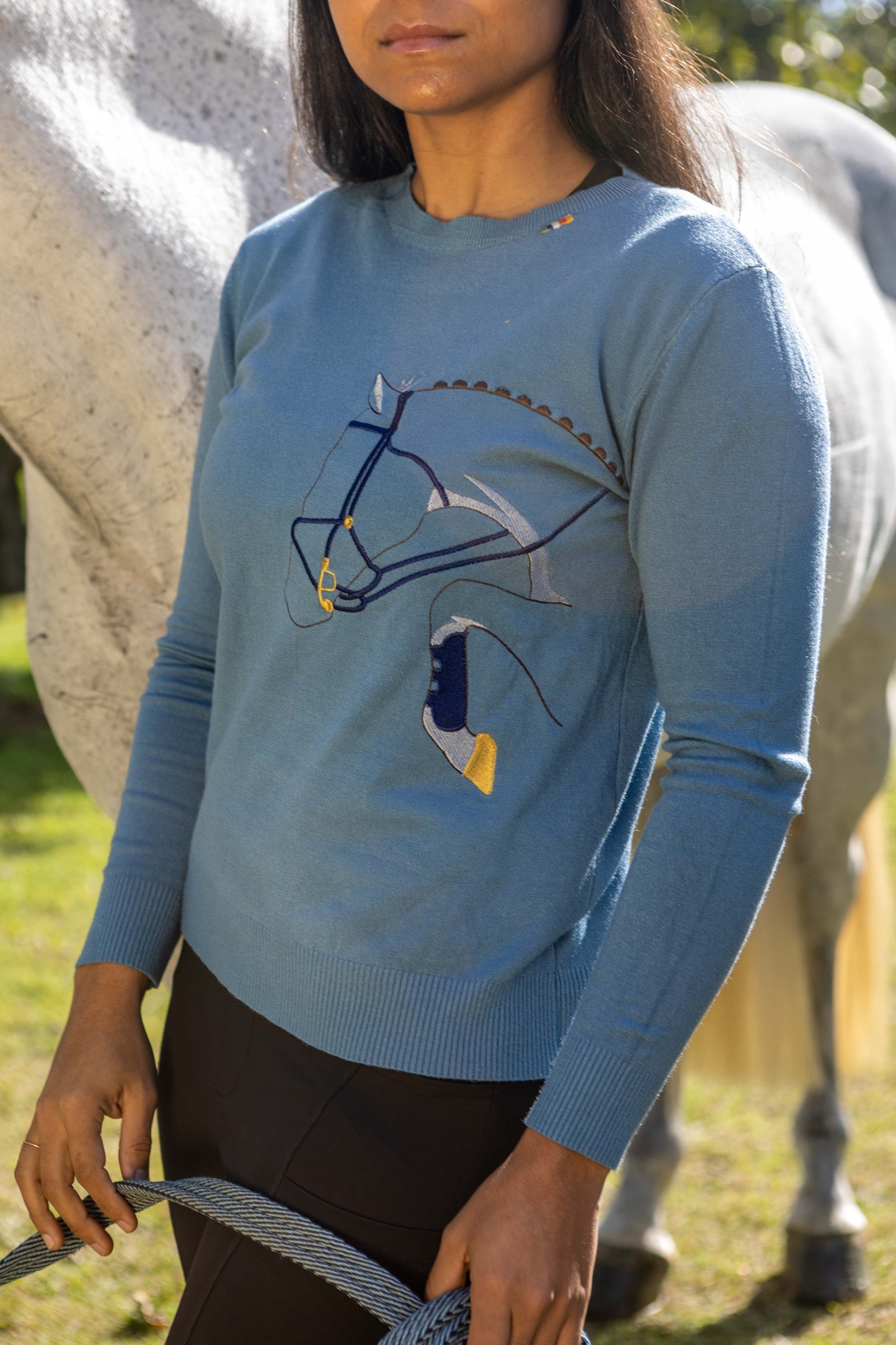 Pullover Careca Cavalo Rédeas - Azul