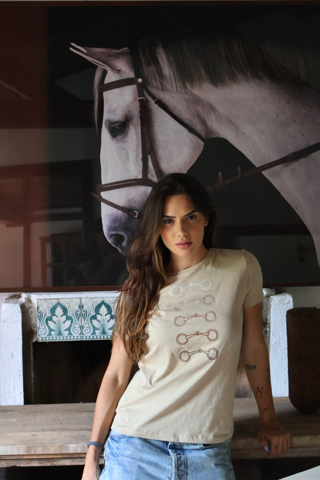 Camiseta Bridão Degradê