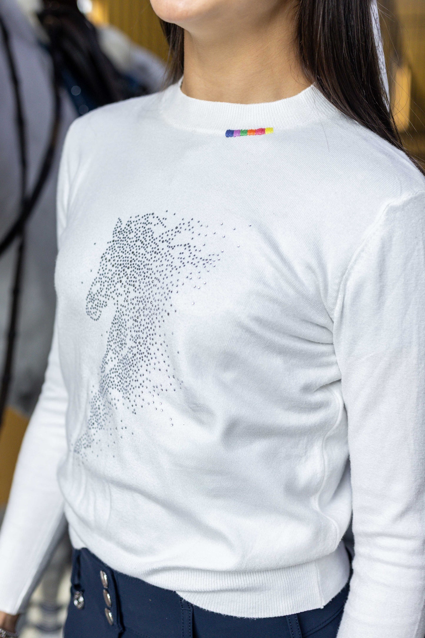 Pullover Careca - Cavalo esvoaçante