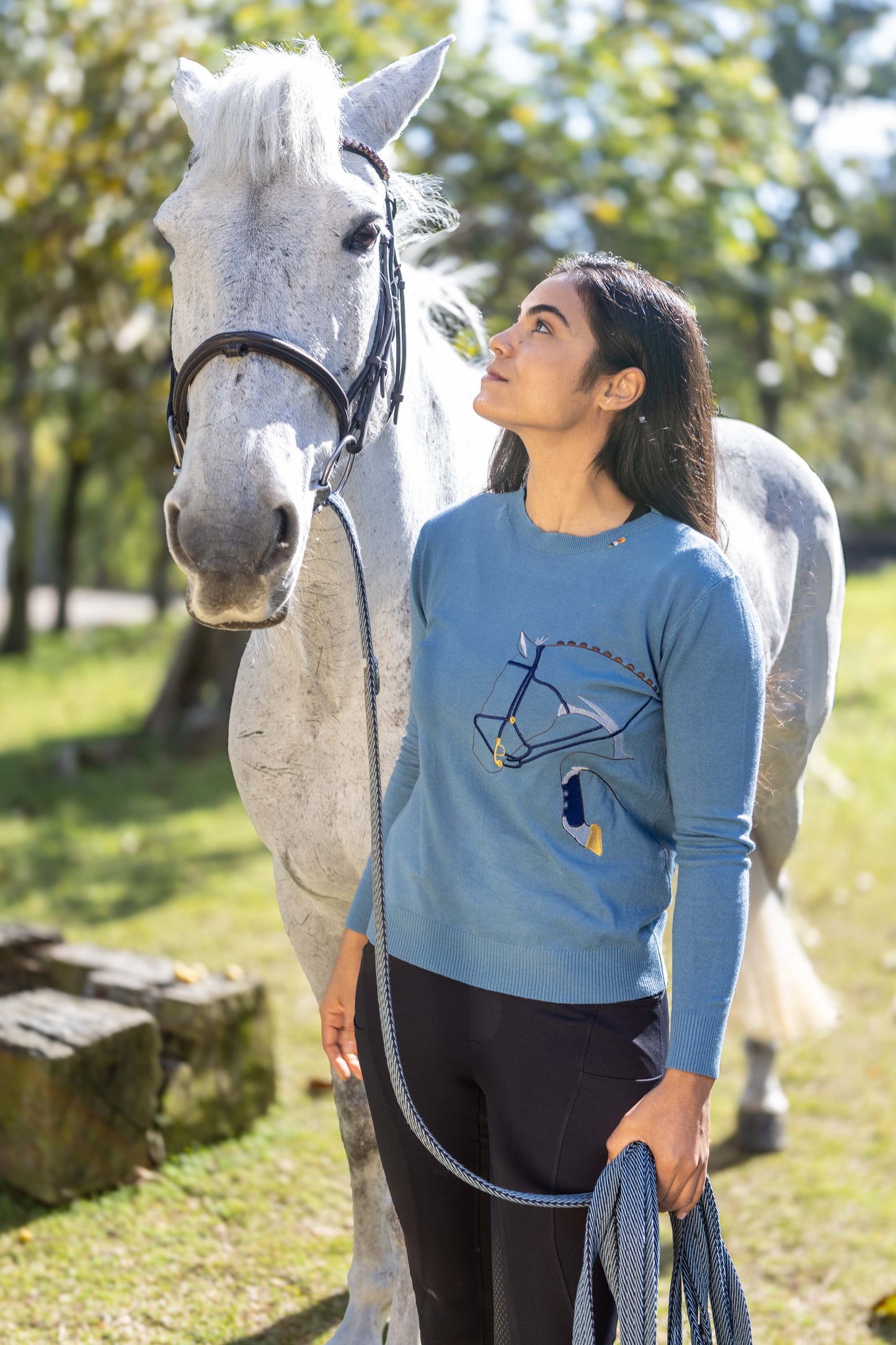 Pullover Careca Cavalo Rédeas - Azul