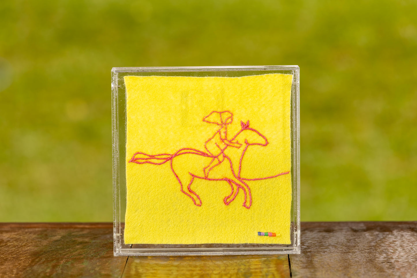 Quadro Amazonas Cavalgando