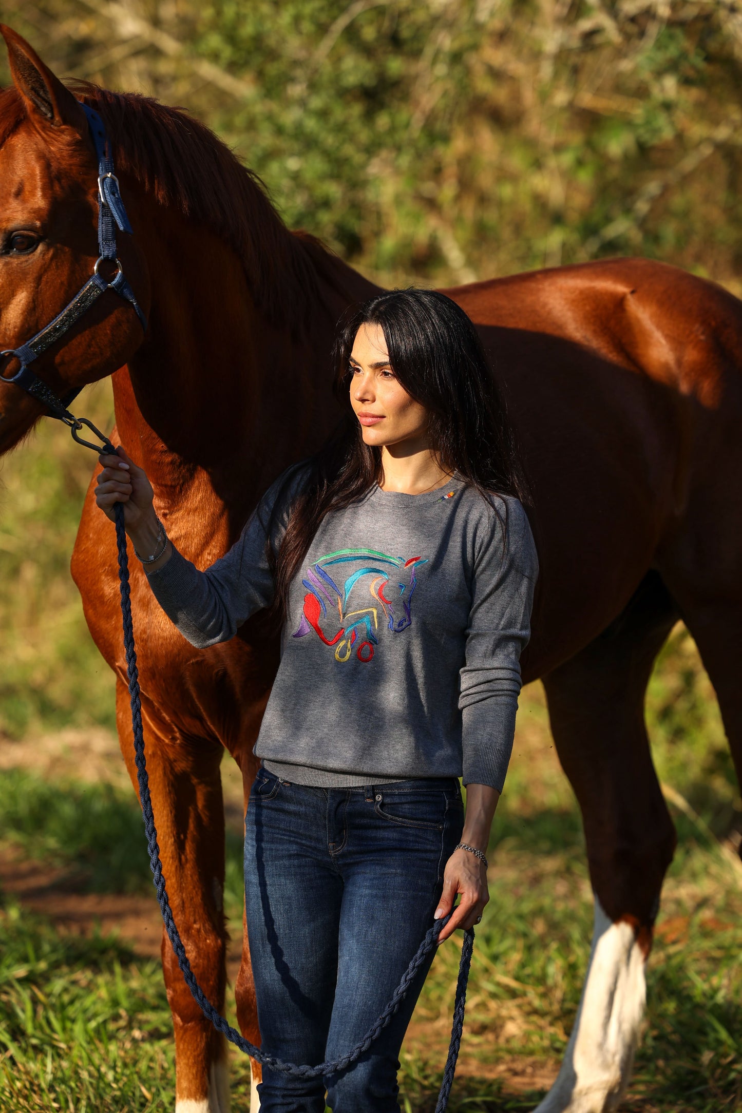 Pullover careca cavalo colorido