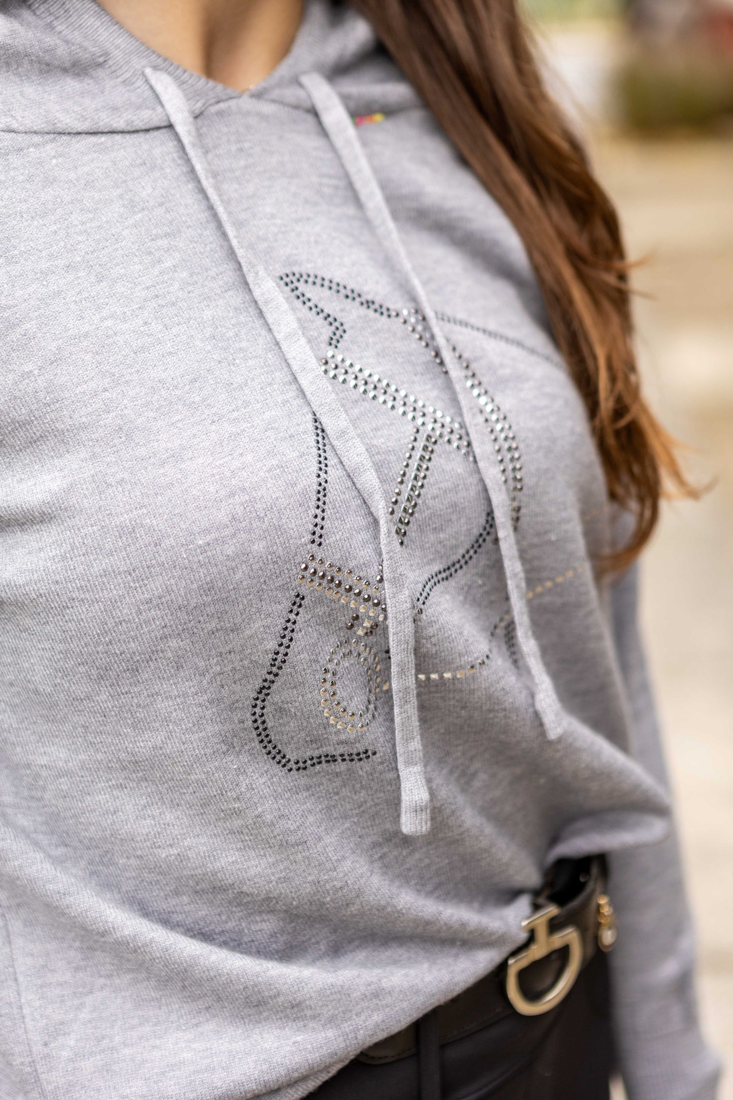 Pullover com Capuz - Cavalo Rédea