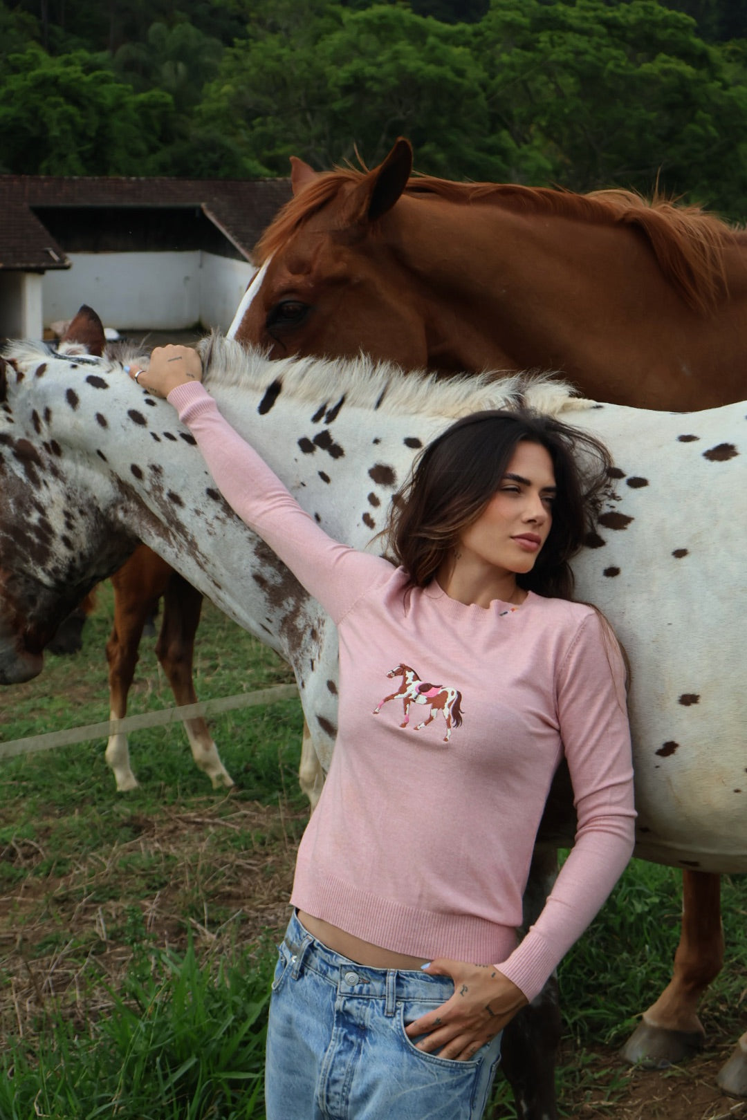 Pullover Careca - Cavalo malhado