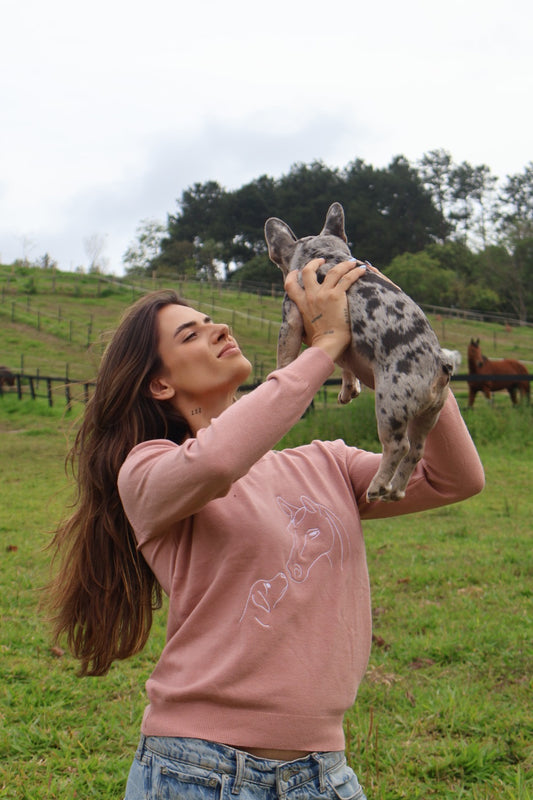 Pullover Careca Cavalo com Cachorro - Rosa