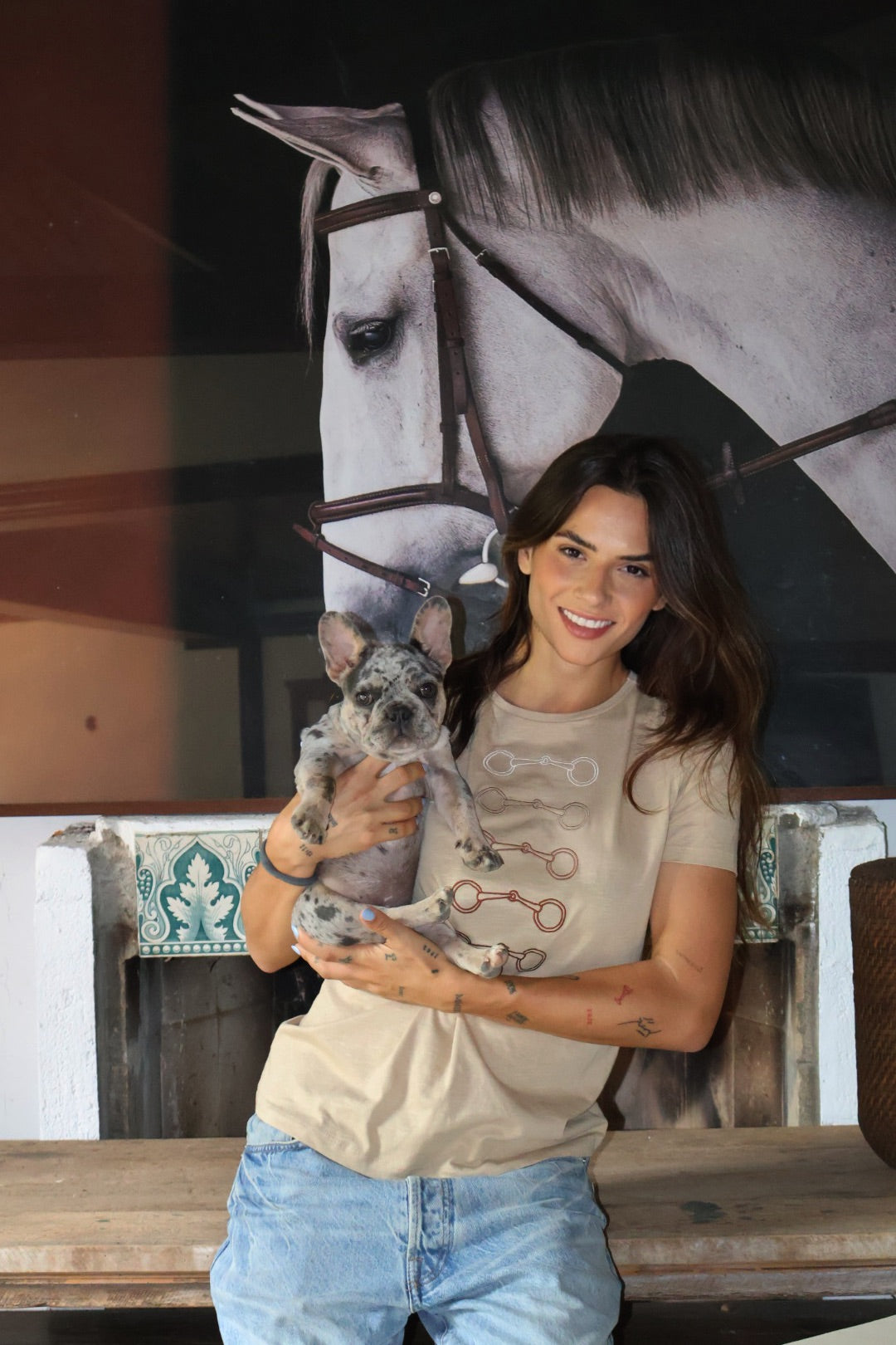 Camiseta Bridão Degradê