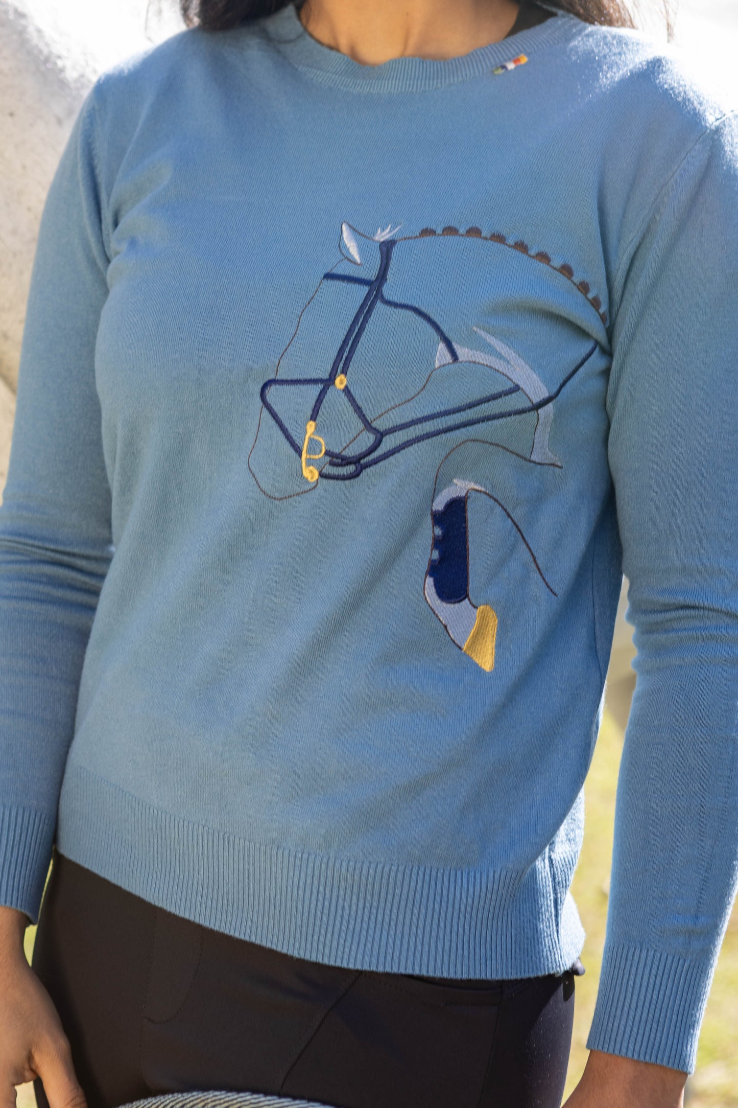 Pullover Careca Cavalo Rédeas - Azul