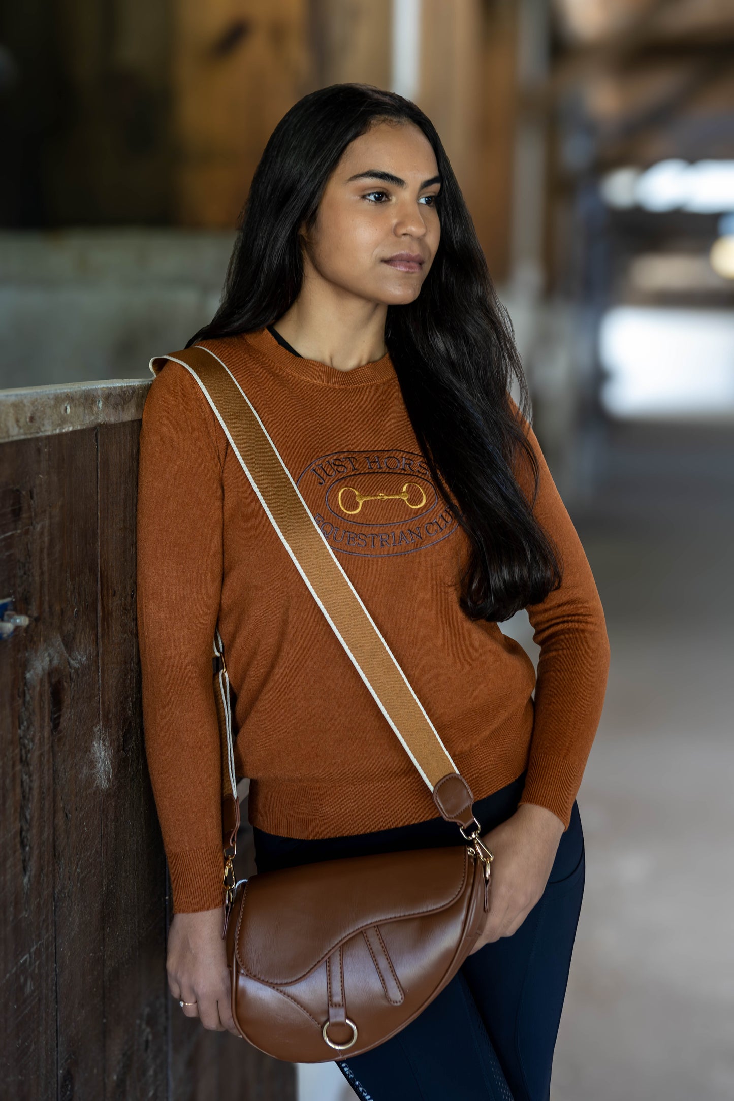 Pullover Careca Emblema Bridão - Ferrugem