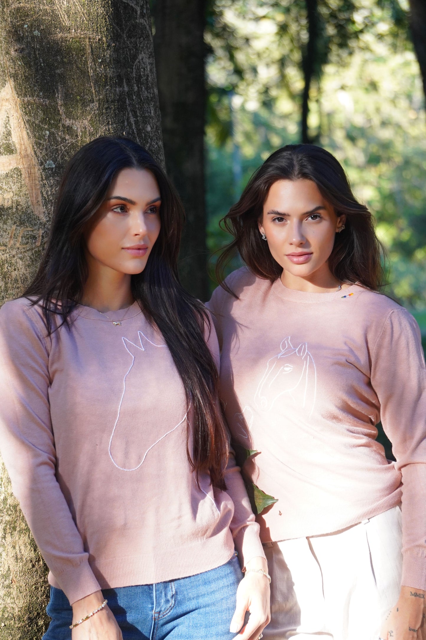 Pullover Careca Cavalo com Cachorro - Rosa