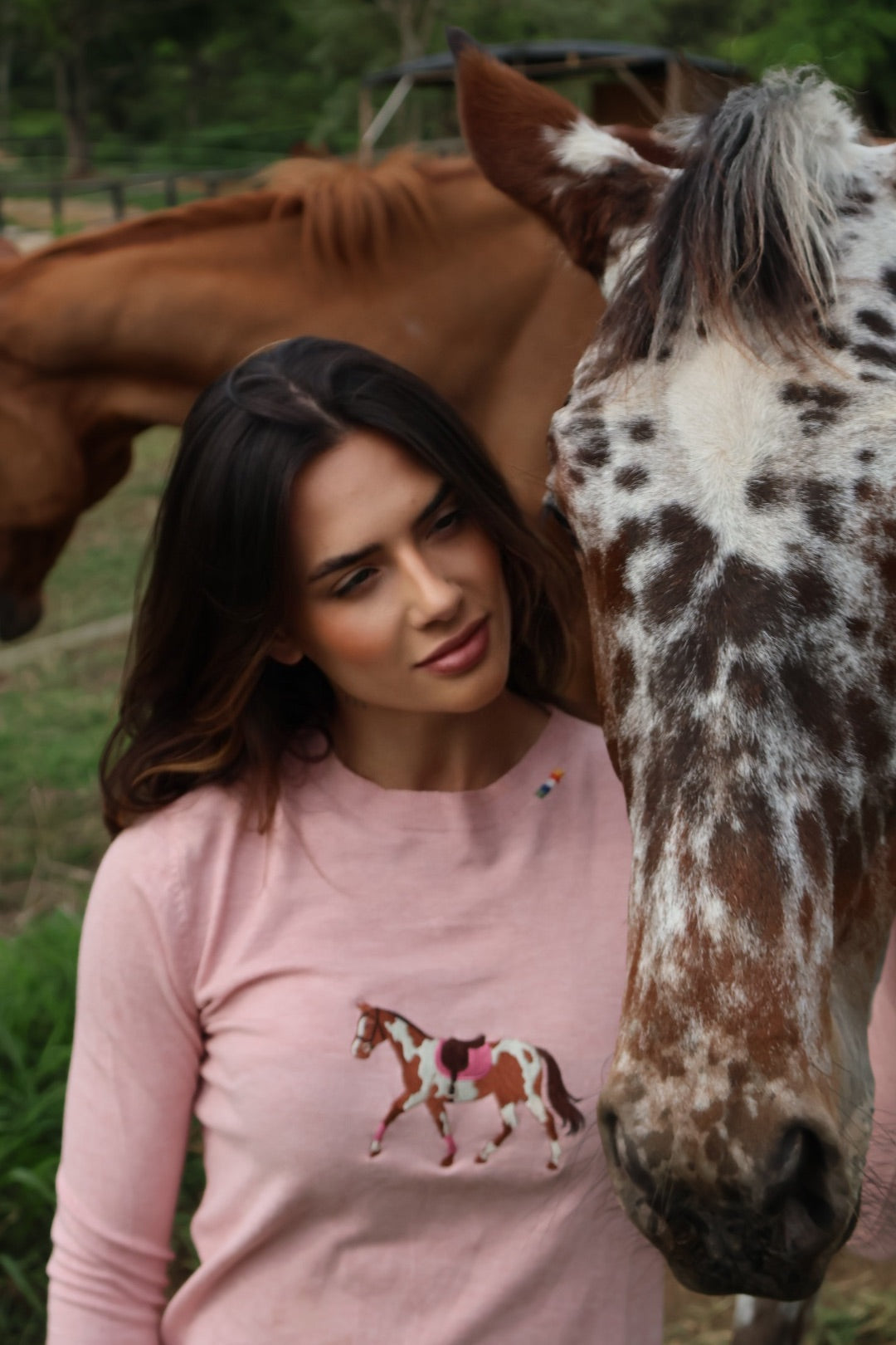 Pullover Careca - Cavalo malhado