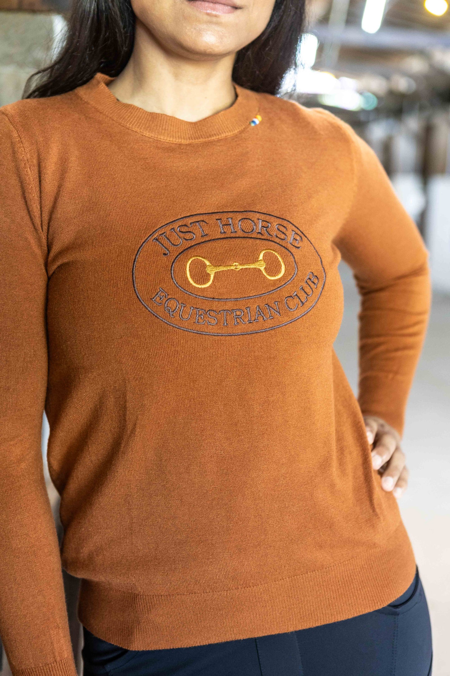 Pullover Careca Emblema Bridão - Ferrugem