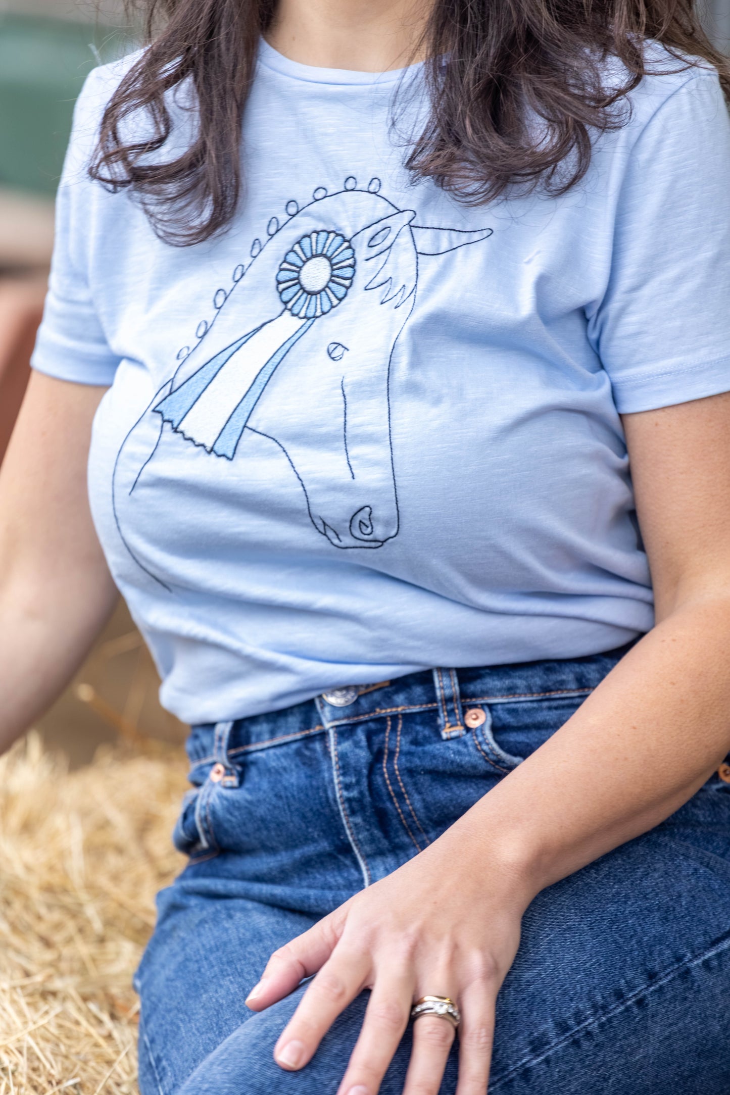 Camiseta cavalo escarapela