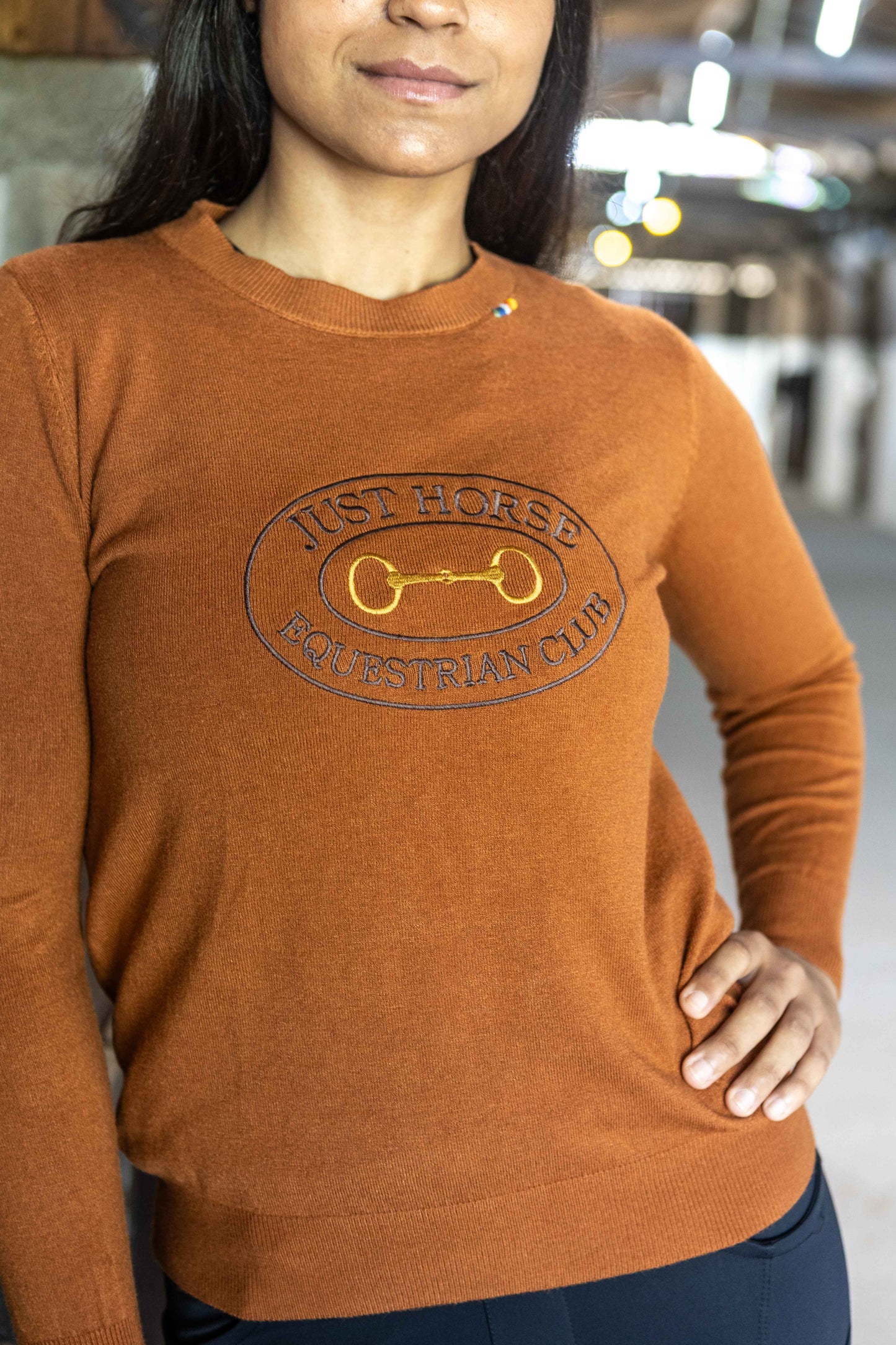 Pullover Careca Emblema Bridão - Ferrugem